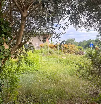 Foto annuncio 6