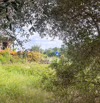 Foto annuncio 17