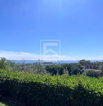 Foto annuncio 25