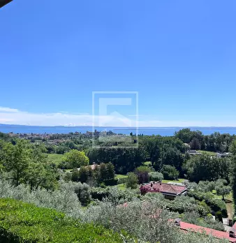 Foto annuncio 44