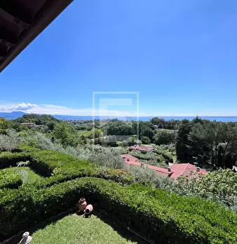 Foto annuncio 45