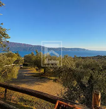 Foto annuncio 15