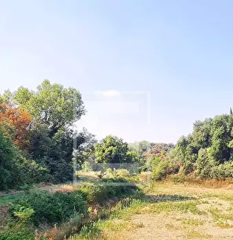 Foto annuncio 20