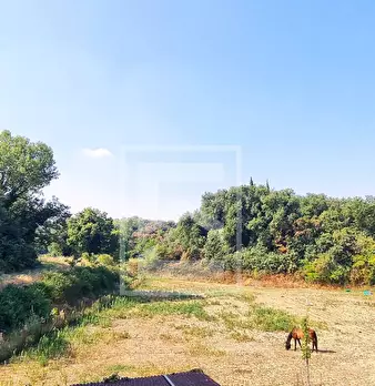 Foto annuncio 12