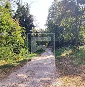 Foto annuncio 8