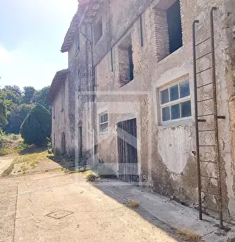 Foto annuncio 11