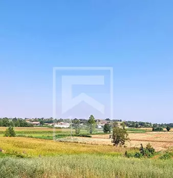 Foto annuncio 16