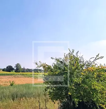 Foto annuncio 19