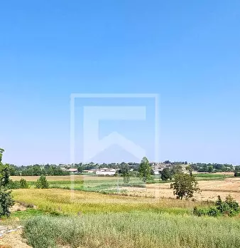 Foto annuncio 14