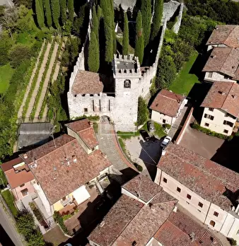 Foto annuncio 9