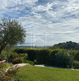 Foto annuncio 12