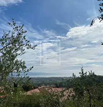 Foto annuncio 19