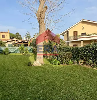 Foto annuncio 6