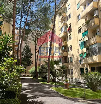 Foto annuncio 4