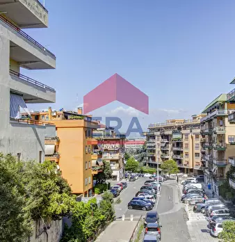 Foto annuncio 24