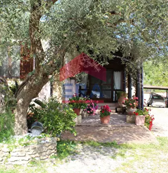 Foto annuncio 1