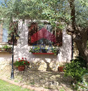 Foto annuncio 9