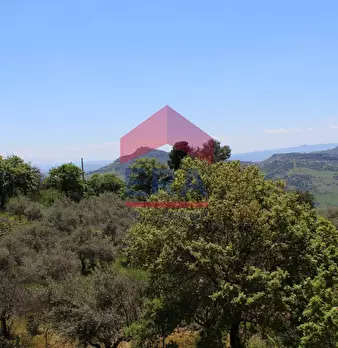 Foto annuncio 53