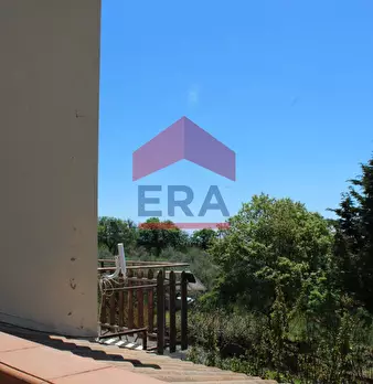 Foto annuncio 49