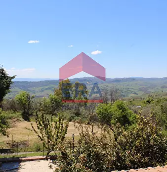 Foto annuncio 51