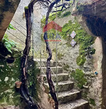 Foto annuncio 28