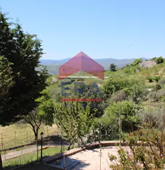 Foto annuncio 54
