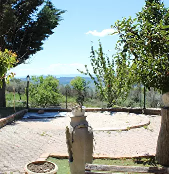 Foto annuncio 8