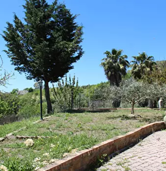 Foto annuncio 5