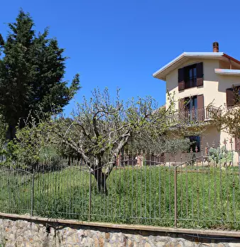 Foto annuncio 57