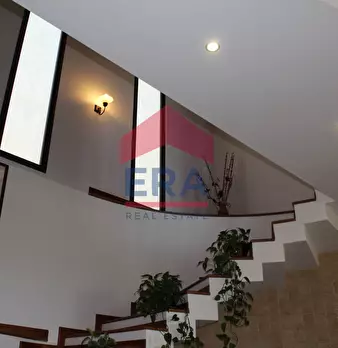 Foto annuncio 26