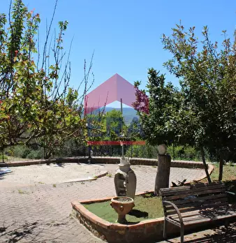 Foto annuncio 60