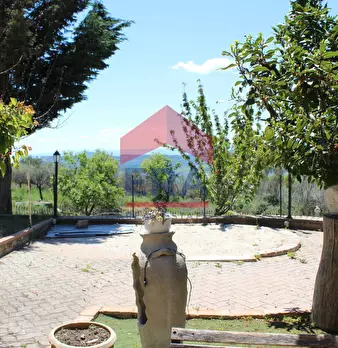 Foto annuncio 64