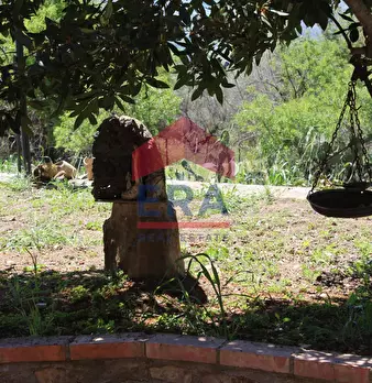 Foto annuncio 65