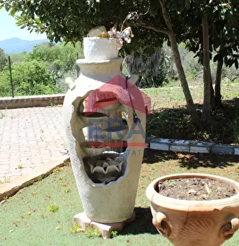 Foto annuncio 66