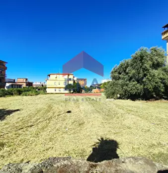 Foto annuncio 12
