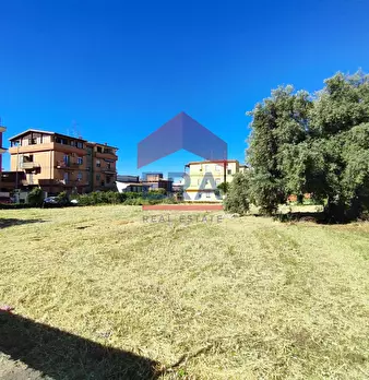 Foto annuncio 14