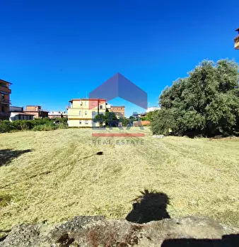 Foto annuncio 15