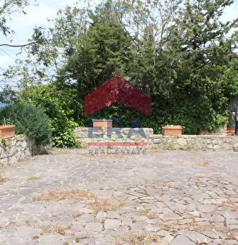 Foto annuncio 12