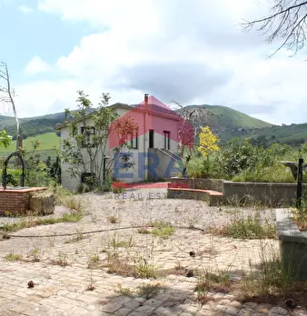 Foto annuncio 6