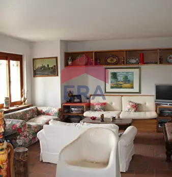 Foto annuncio 35