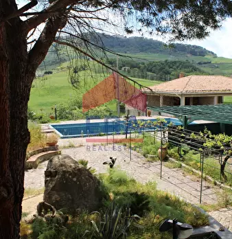 Foto annuncio 63