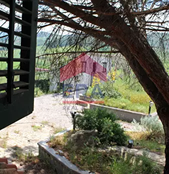 Foto annuncio 64
