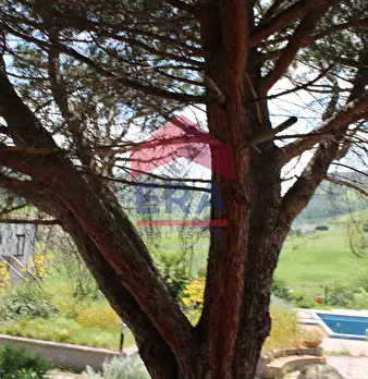 Foto annuncio 65
