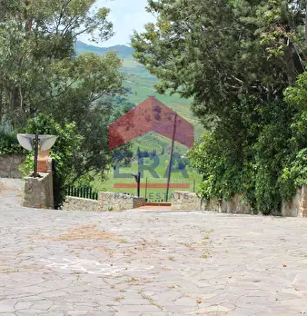 Foto annuncio 80