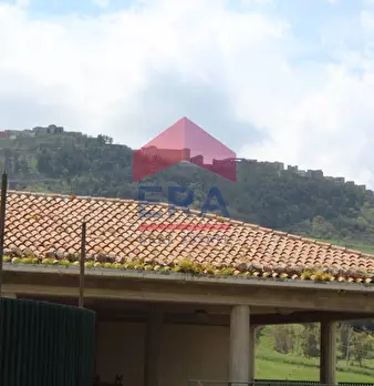 Foto annuncio 86