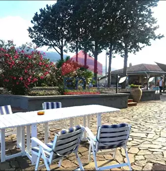Foto annuncio 100