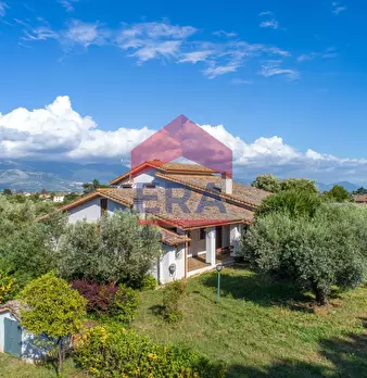 Foto annuncio 3