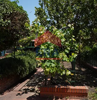 Foto annuncio 8