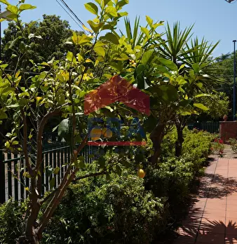 Foto annuncio 11