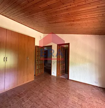 Foto annuncio 40